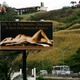 A billboard proclaiming "the art of plastic surgery"